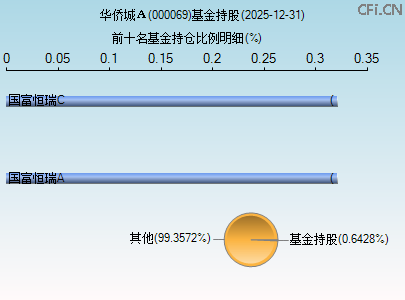 000069基金持仓图