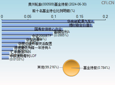 000589基金持仓图