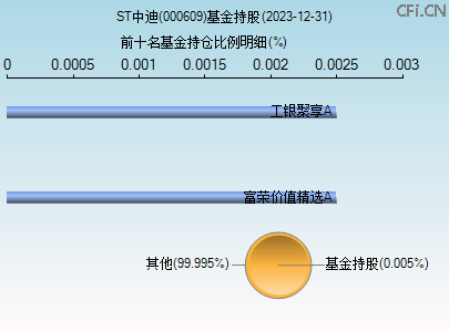 000609基金持仓图