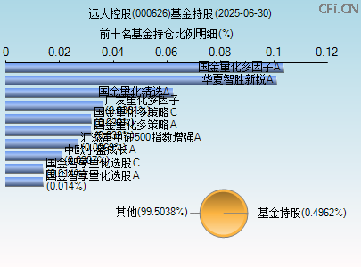 000626基金持仓图