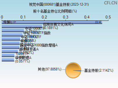 000681基金持仓图