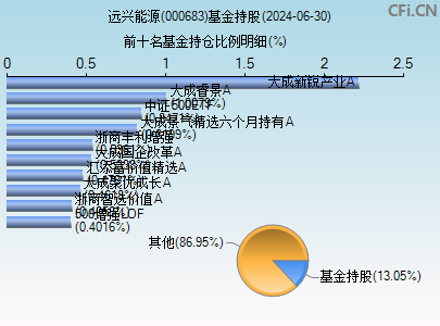 000683基金持仓图