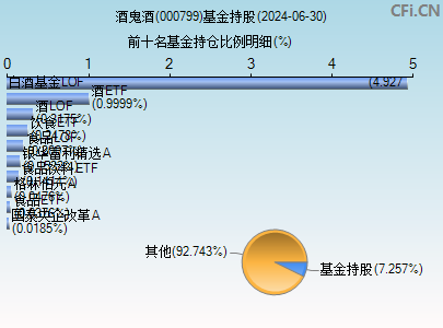 000799基金持仓图