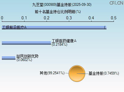 000989基金持仓图 000989基金持仓图