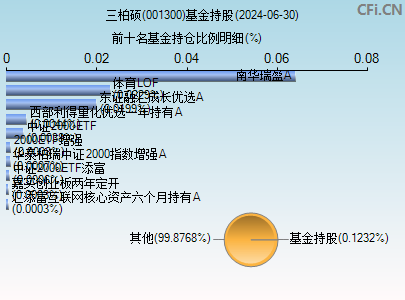 001300基金持仓图