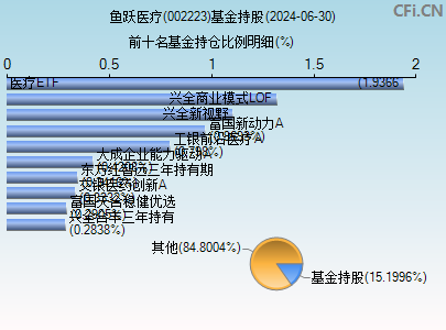 002223基金持仓图