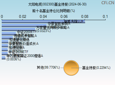 002300基金持仓图