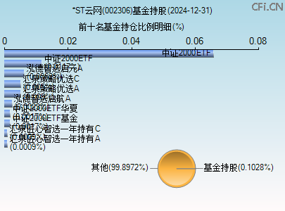 002306基金持仓图