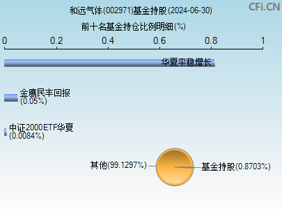 002971基金持仓图