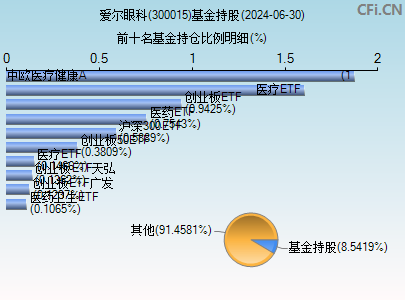300015基金持仓图 300015基金持仓图