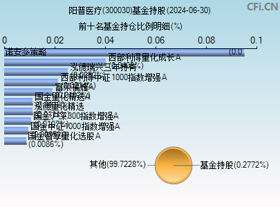300030基金持仓图 300030基金持仓图