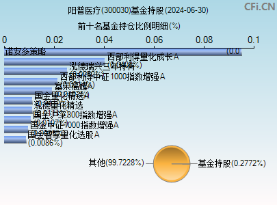 300030基金持仓图