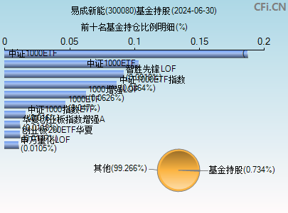 300080基金持仓图