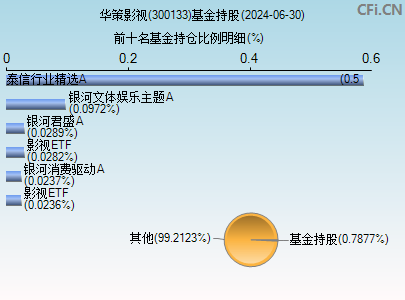 300133基金持仓图