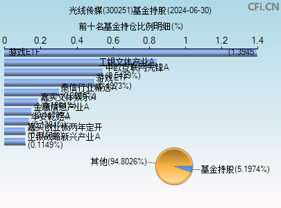 300251基金持仓图