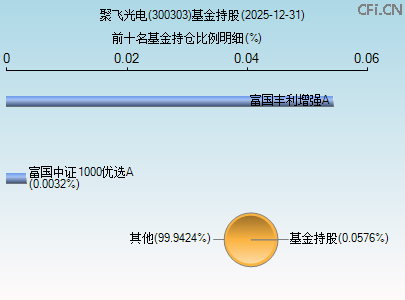 300303基金持仓图