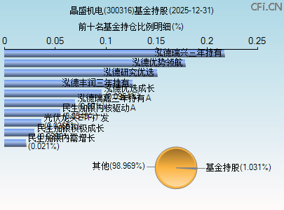 300316基金持仓图 300316基金持仓图