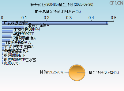 300485基金持仓图