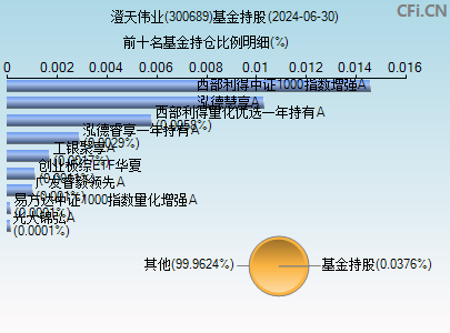 300689基金持仓图