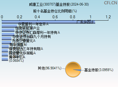 300707基金持仓图