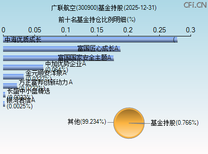 300900基金持仓图 300900基金持仓图