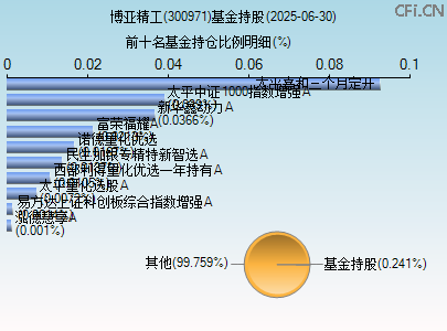 300971基金持仓图 300971基金持仓图