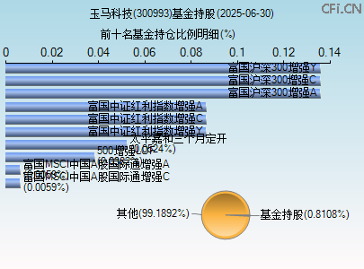 300993基金持仓图 300993基金持仓图