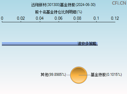 301300基金持仓图