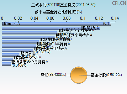 600116基金持仓图