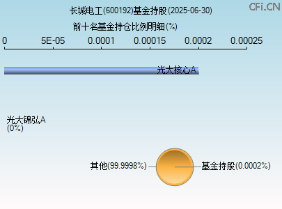 600192基金持仓图 600192基金持仓图