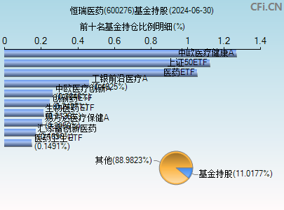 600276基金持仓图