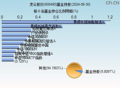 600480基金持仓图