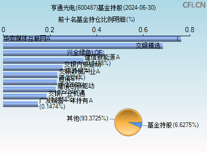 600487基金持仓图