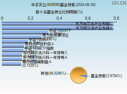 600595基金持仓图