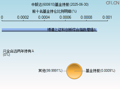 600610基金持仓图