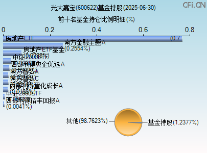 600622基金持仓图 600622基金持仓图