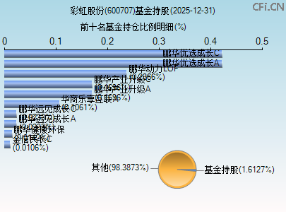 600707基金持仓图 600707基金持仓图