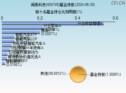 600745基金持仓图