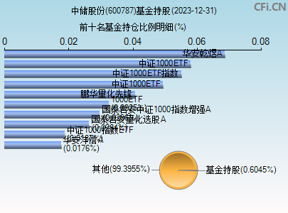 600787基金持仓图