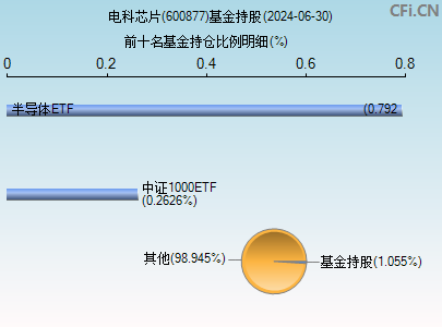 600877基金持仓图