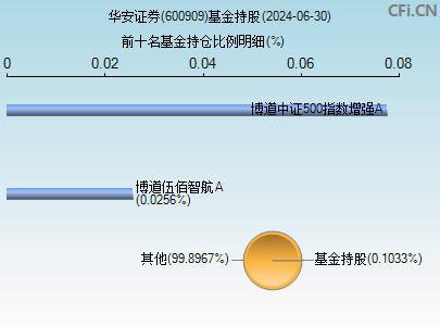 600909基金持仓图