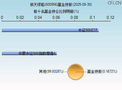 600956基金持仓图