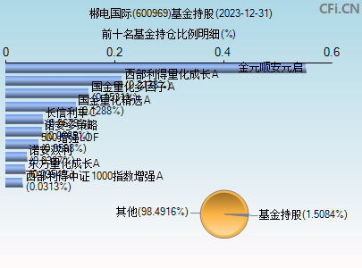 600969基金持仓图