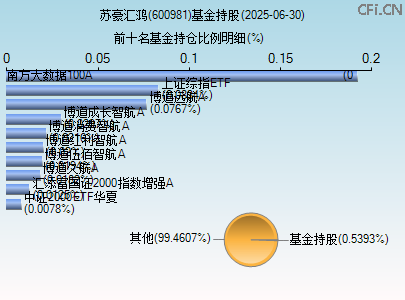 600981基金持仓图 600981基金持仓图