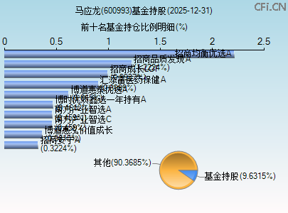 600993基金持仓图