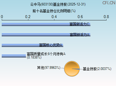 603130基金持仓图 603130基金持仓图