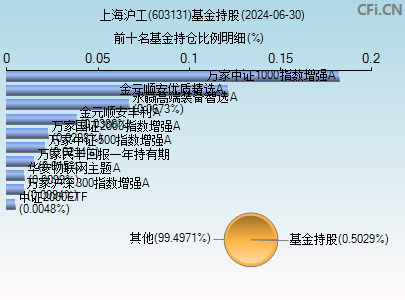 603131基金持仓图