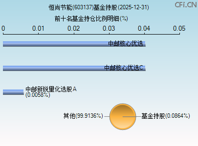 603137基金持仓图
