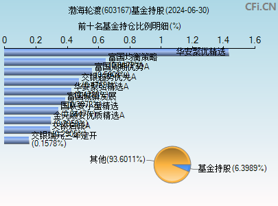 603167基金持仓图