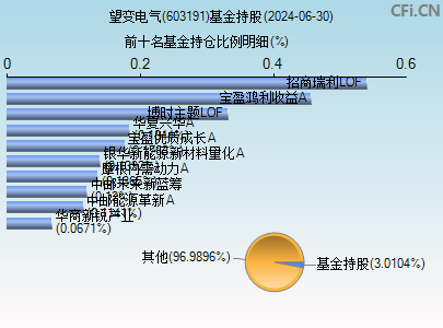 603191基金持仓图